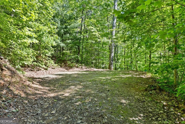 382 Highland Rd, Ellijay, GA 30540 - view of tree filled area