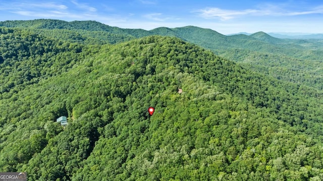 382 Highland Rd, Ellijay, GA 30540 - aerial view of property and surrounding area featuring a heavily wooded area and mountains