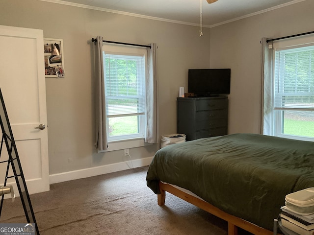 574 Lakeview Dr, Gainesville, GA 30501 - bedroom featuring multiple windows, baseboards, carpet floors, and crown molding