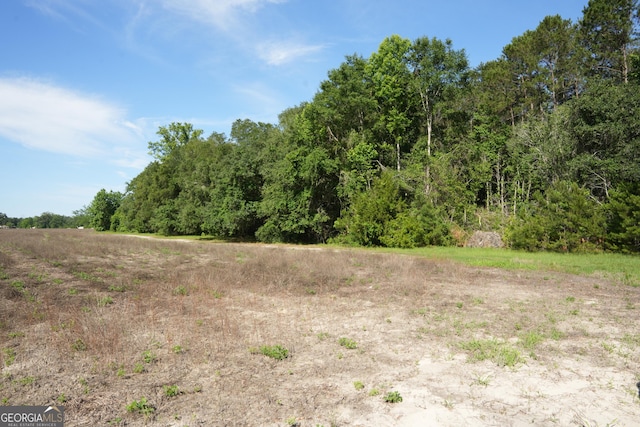 1800 Olive Branch Rd, Ellabell, GA 31308