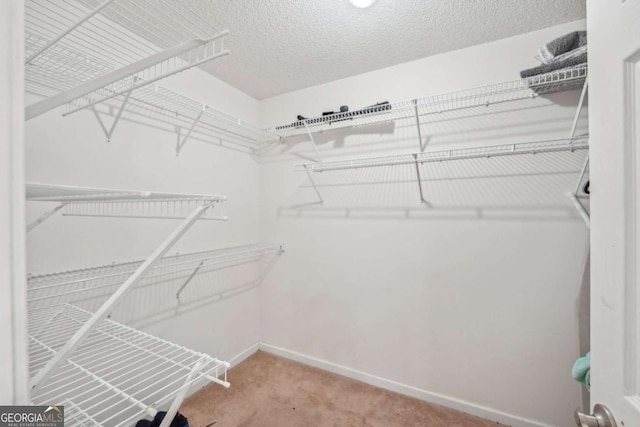 1535 Lake Dow Rd, Mcdonough, GA 30252 - spacious closet with carpet flooring