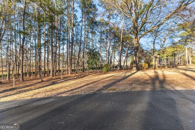 135 Mill Race Rd, Thomaston, GA 30286 - view of yard