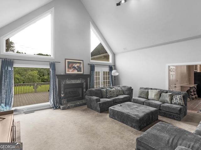 474 N Rover Rd, Williamson, GA 30292 - carpeted living area with high vaulted ceiling and a fireplace