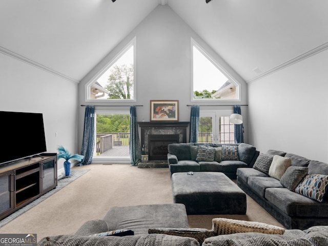 474 N Rover Rd, Williamson, GA 30292 - carpeted living room with high vaulted ceiling and a fireplace