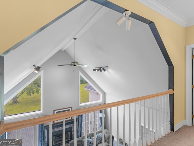 474 N Rover Rd, Williamson, GA 30292 - detailed view of carpet flooring, ceiling fan, and beamed ceiling