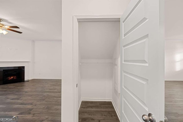 1159 Blue Juniper Cir, Loganville, GA 30052 - view of closet