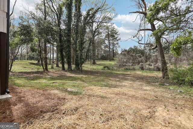 1483 Madison Rd, Monticello, GA 31064 - view of nature