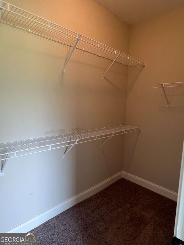 1010 Holliday Pass, Griffin, GA 30223 - spacious closet featuring dark carpet