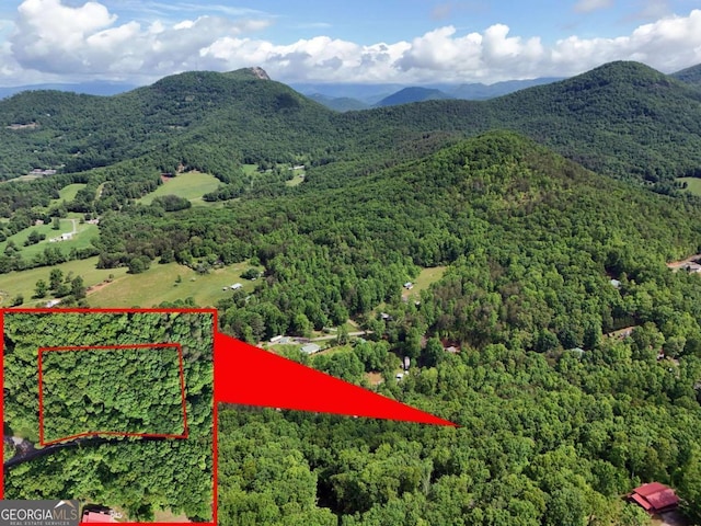 14B Rainbow Rdg, Hiawassee, GA 30546