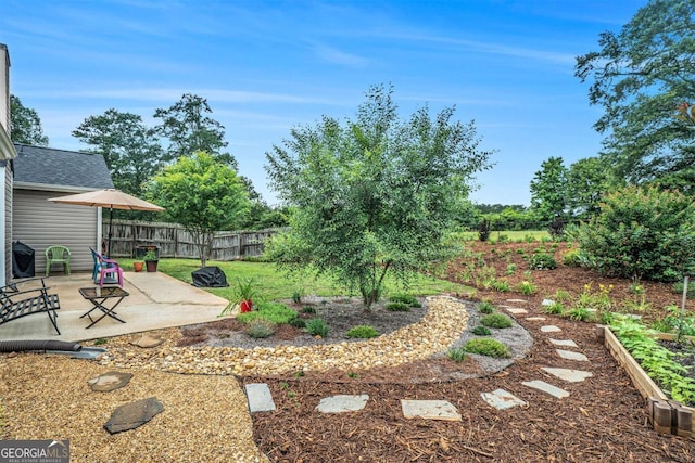 287 Jeremy Dr, Colbert, GA 30628 - view of yard featuring a patio area