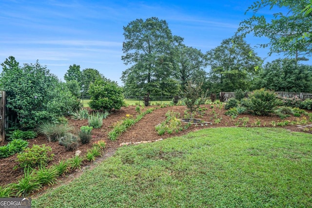 287 Jeremy Dr, Colbert, GA 30628 - view of yard