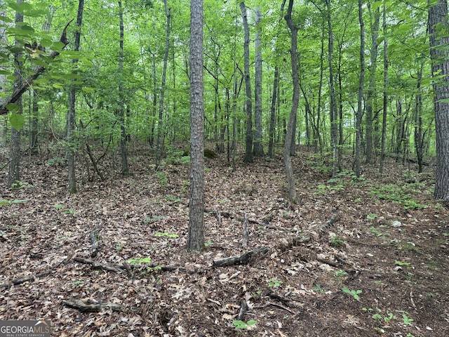 0 E Armuchee, Lafayette, GA 30728