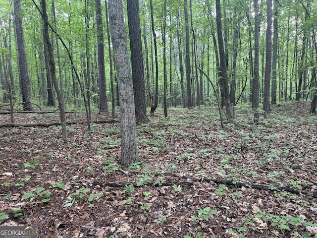 0 E Armuchee, Lafayette, GA 30728
