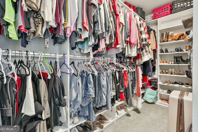 390 Cushing St, Senoia, GA 30276 - walk in closet with carpet flooring