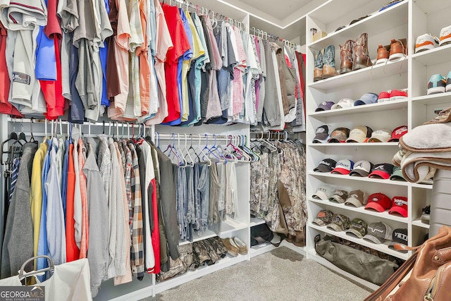 390 Cushing St, Senoia, GA 30276 - spacious closet featuring carpet