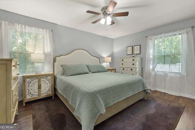 2121 Elysian Cir, Gainesville, GA 30501 - bedroom with wood finished floors, multiple windows, and a ceiling fan