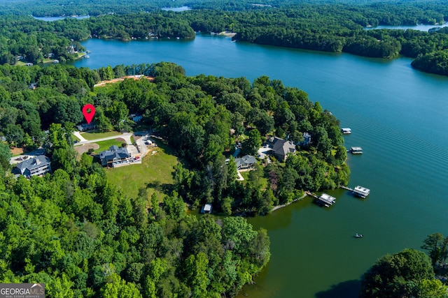 2121 Elysian Cir, Gainesville, GA 30501 - aerial view of property and surrounding area featuring a large body of water