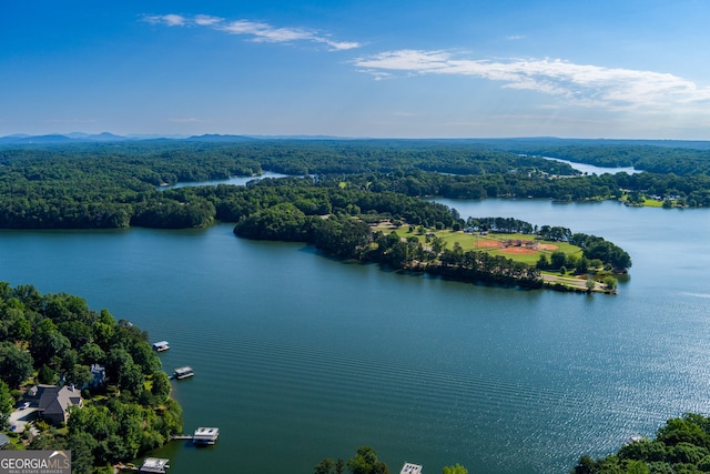 2121 Elysian Cir, Gainesville, GA 30501 - aerial view of a heavily wooded area and a nearby body of water