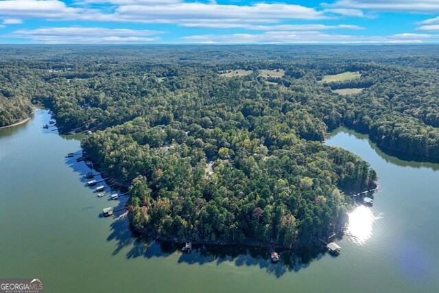 982 Lake Shore Rd, Martin, GA 30557