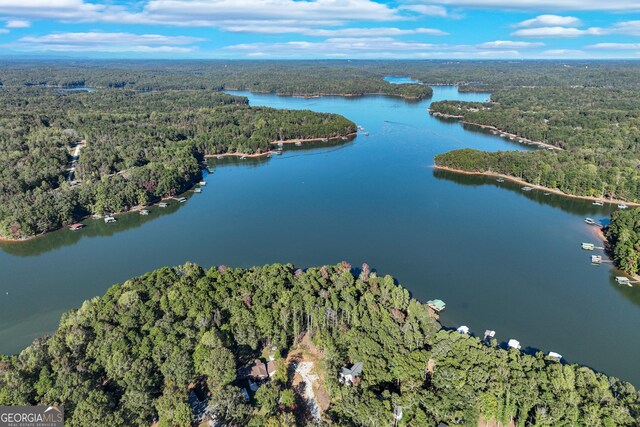 982 Lake Shore Rd, Martin, GA 30557