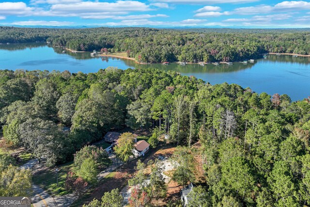 982 Lake Shore Rd, Martin, GA 30557
