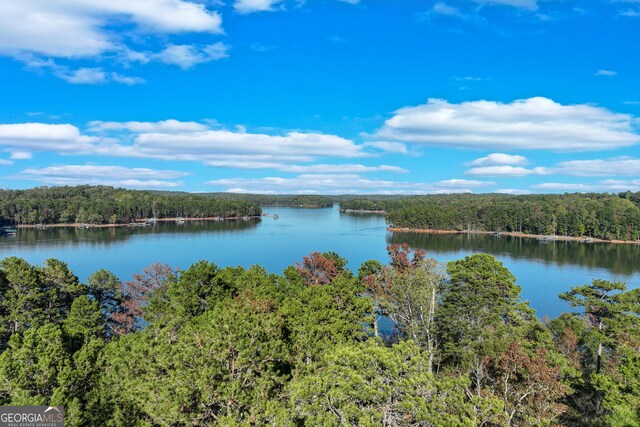 982 Lake Shore Rd, Martin, GA 30557