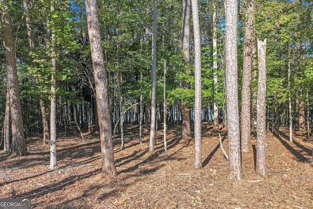 982 Lake Shore Rd, Martin, GA 30557