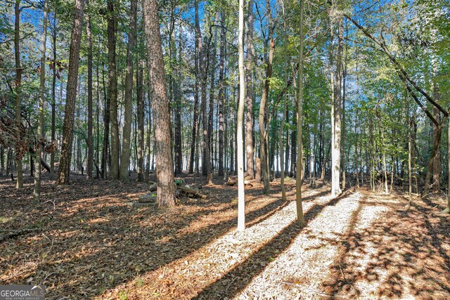 982 Lake Shore Rd, Martin, GA 30557