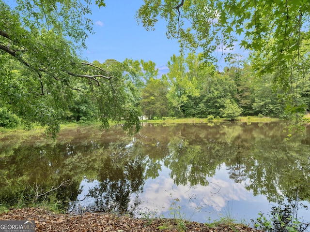 114 Overlook Dr, Mcdonough, GA 30252 - water view with a heavily wooded area
