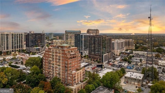 3180 Mathieson Dr NE Unit 1401, Atlanta, GA 30305 - view of city