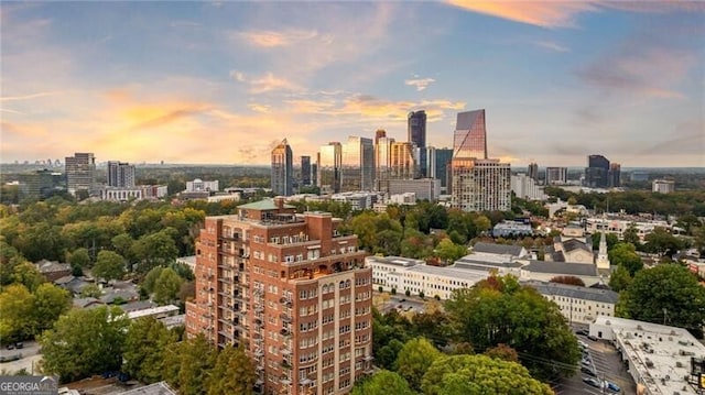 3180 Mathieson Dr NE Unit 1401, Atlanta, GA 30305 - skyline view