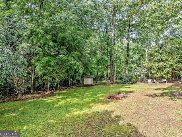 5190 Beech Forest Dr, Lilburn, GA 30047 - view of green lawn