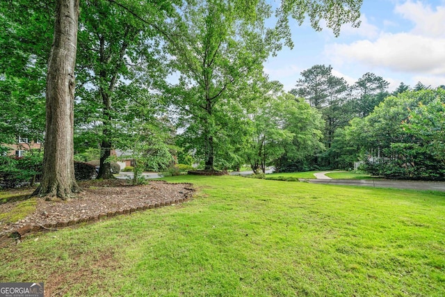 5190 Beech Forest Dr, Lilburn, GA 30047 - view of grassy yard