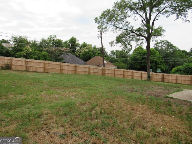 791 Anderson St, Macon, GA 31201 - view of yard