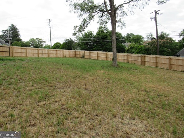 791 Anderson St, Macon, GA 31201 - view of yard