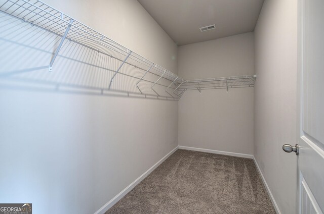 158 Bryon Ln, Acworth, GA 30102 - walk in closet featuring carpet flooring
