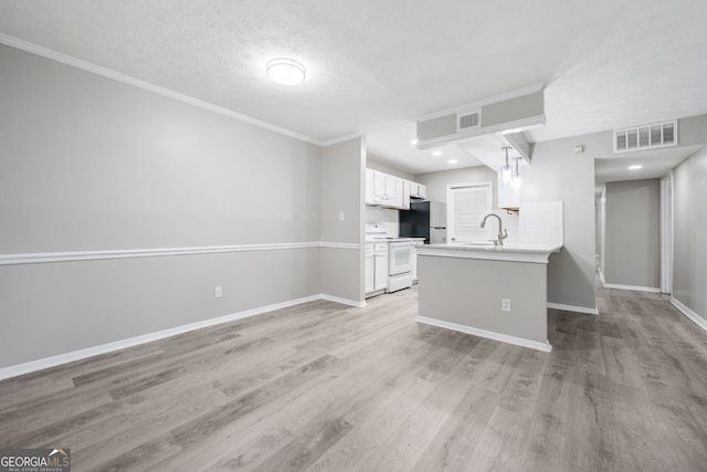 113 Tuxworth Cir, Decatur, GA 30033 - kitchen featuring electric range, freestanding refrigerator, a sink, white cabinetry, and light wood-style flooring