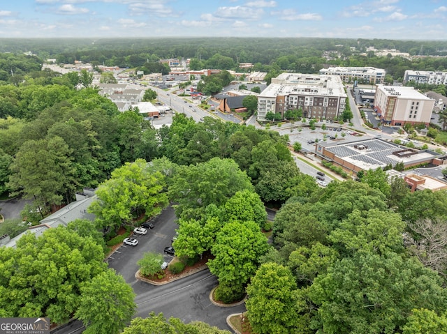 113 Tuxworth Cir, Decatur, GA 30033 - bird's eye view
