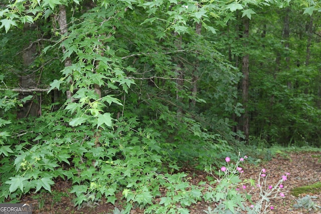 0 Kingston Rd, Colbert, GA 30628