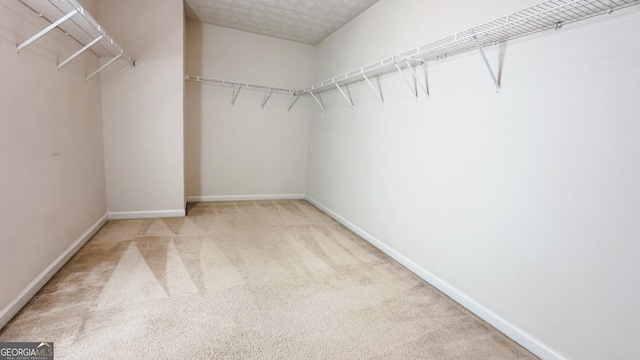 4676 Shaded Oak Ln, Forest Park, GA 30297 - walk in closet featuring carpet