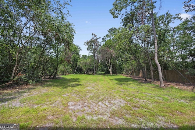 1905 Azalea, Valdosta, GA 31602 - view of yard