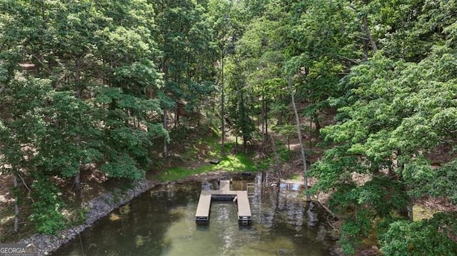 6550 Bluewaters Dr, Flowery Branch, GA 30542 - dock area featuring a wooded view
