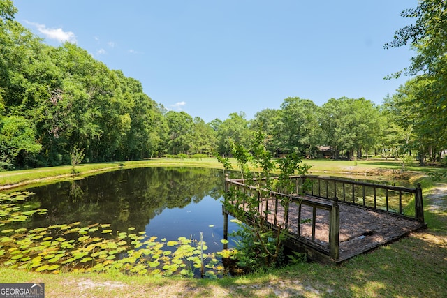 3382 Antioch Greggs Rd, Adel, GA 31620 - dock area featuring a water view