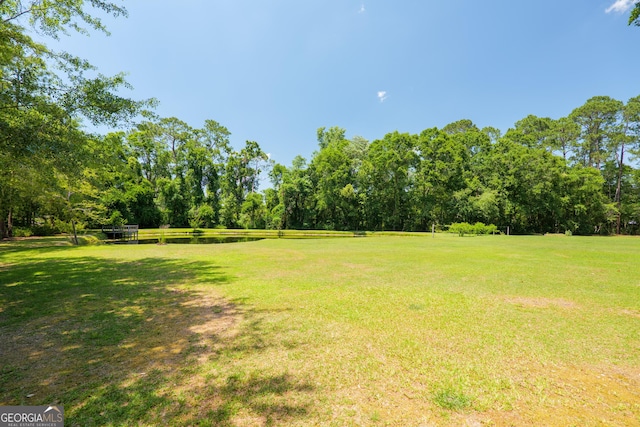 3382 Antioch Greggs Rd, Adel, GA 31620 - view of green lawn