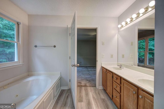 23 Timberlake Pointe NE, Cartersville, GA 30121 - bathroom with double vanity, plenty of natural light, wood finished floors, a whirlpool tub, and a textured ceiling