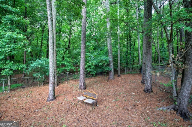 23 Timberlake Pointe NE, Cartersville, GA 30121 - view of yard