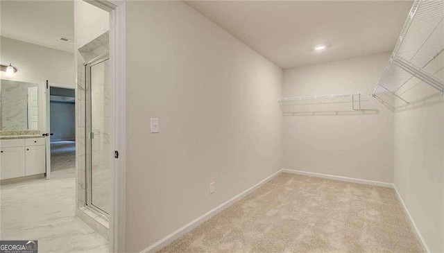 165 Cooper Cv E, Fayetteville, GA 30215 - walk in closet featuring light colored carpet