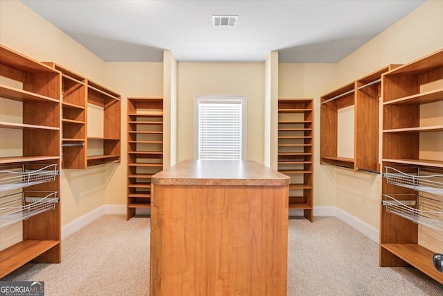 737 Raleigh Cobb Rd, Hawkinsville, GA 31036 - walk in closet with light colored carpet and built in study area