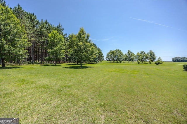 737 Raleigh Cobb Rd, Hawkinsville, GA 31036 - view of green lawn