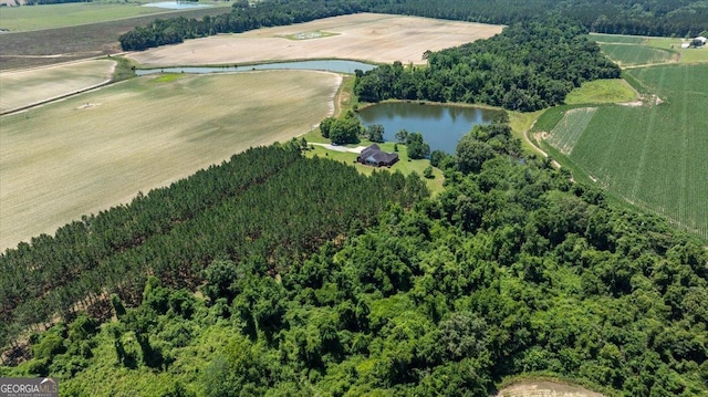 737 Raleigh Cobb Rd, Hawkinsville, GA 31036 - aerial view of property's location featuring a large body of water